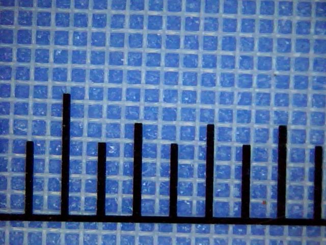 Polyester mesh 39T-55 under the microscope with scale